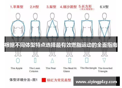 根据不同体型特点选择最有效燃脂运动的全面指南